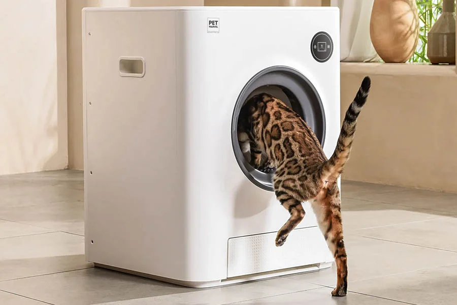 the best automatic cat litter box